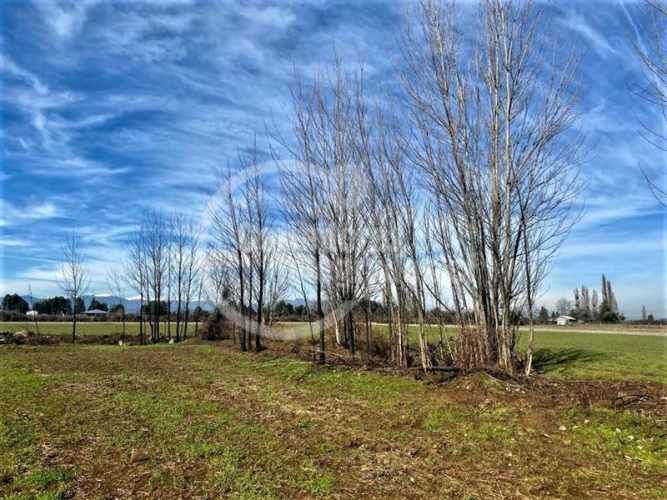 AGRICOLA Villa Rosa, Parral