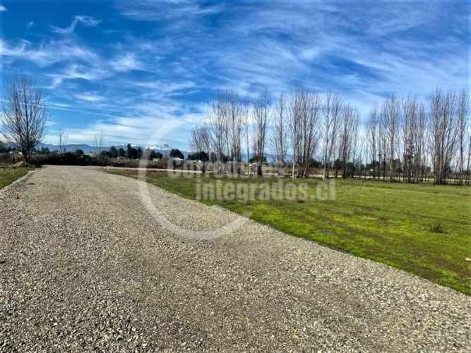 AGRICOLA Villa Rosa, Parral