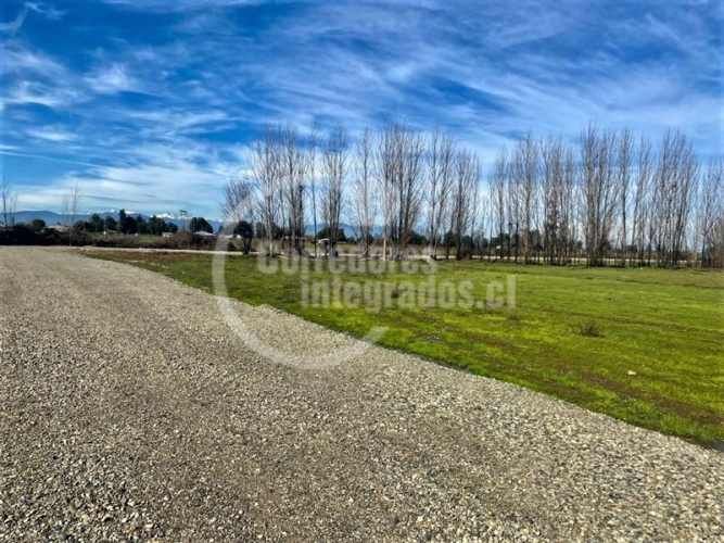 AGRICOLA Villa Rosa, Parral