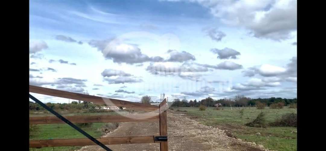 AGRICOLA Villa Rosa, Parral