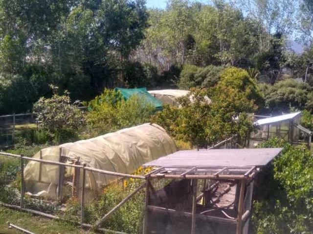 PARCELA Camino Melipilla/Camino El Paiquito