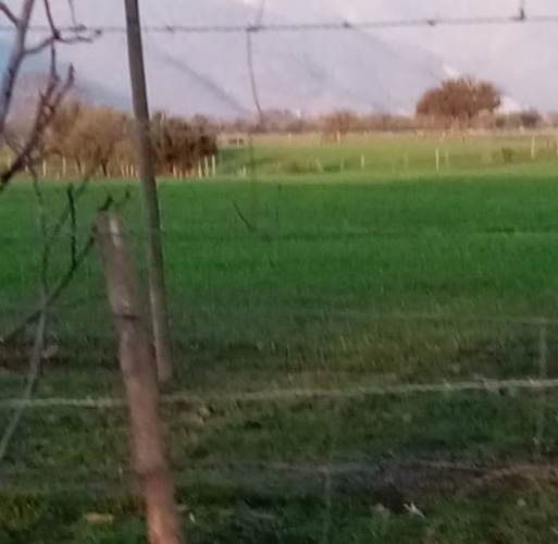 PARCELA Parcelas de Pincha/Riquelme