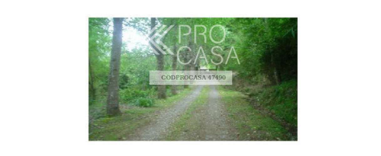 PARCELA Ruta 5 Sur/Mirador Río San Pedro