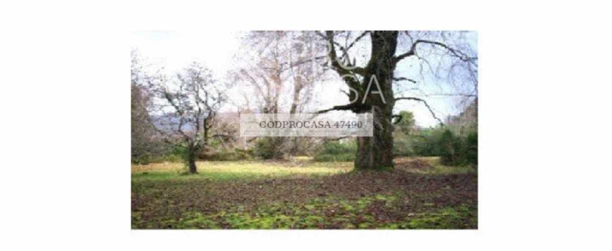 PARCELA Ruta 5 Sur/Mirador Río San Pedro