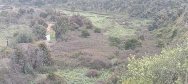 PARCELA Santo Domingo/El Convento