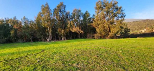 PARCELA Camino Padre Hurtado/G-547