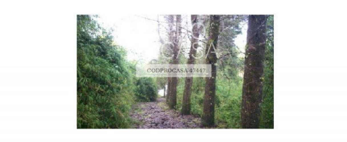 PARCELA Ruta 5 Sur/Mirador Río San Pedro