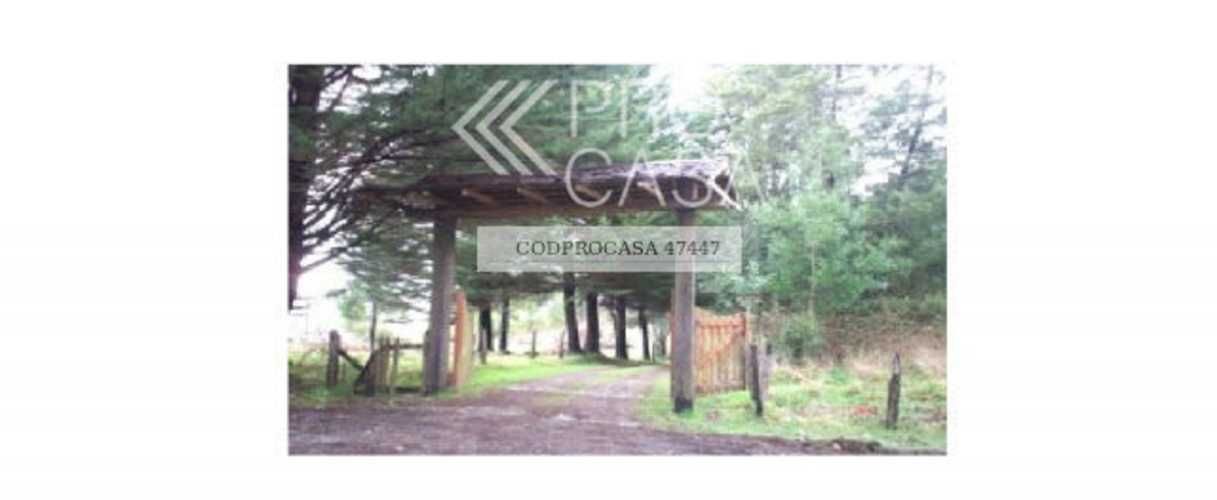 PARCELA Ruta 5 Sur/Mirador Río San Pedro