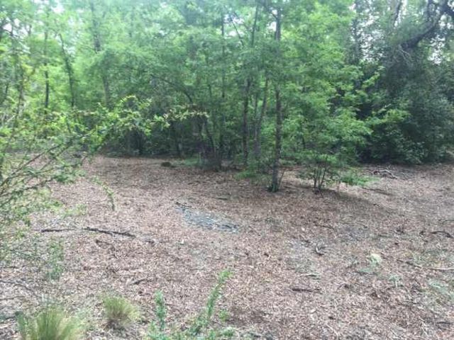 PARCELA Los Copihues/Los Peumos