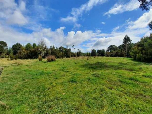 PARCELA Calle Principal/Camino a Puerto Varas