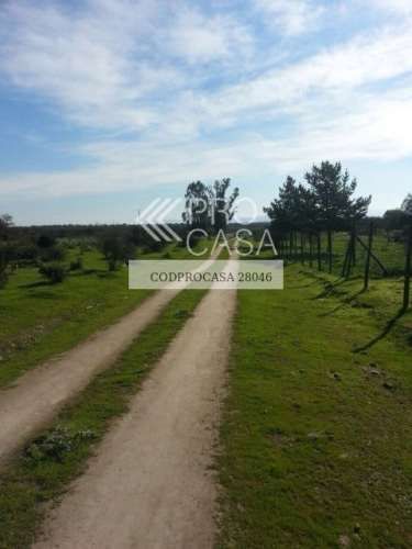 PARCELA San Manuel/Culipran