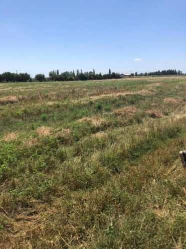 PARCELA Ruta 5 sur/Parcelación Santa Teresa