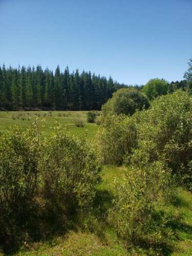 PARCELA Camino Hotel Villa Baviera/Camino Catillo