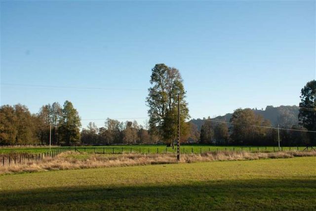 PARCELA HUELLAHUE/PANGUIPULLI/ PARCELAS PLANAS 5.000 M2