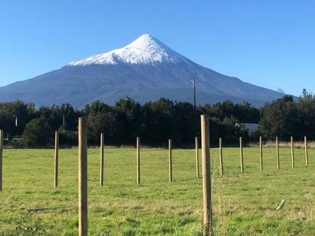 PARCELA km 36 ruta 225