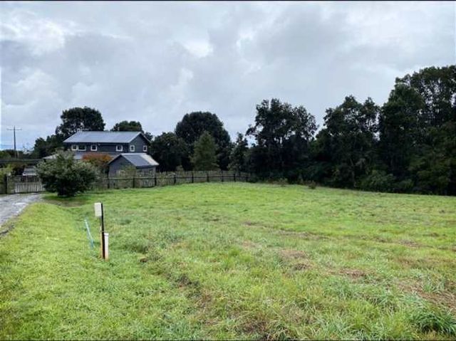 PARCELA Condominio El Pangue, km 6 camino a Ensenada, lindo bosque nativo y pradera