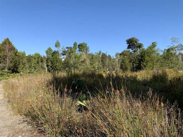 PARCELA Venta de 12 hectáreas en Colonia 3 Puentes