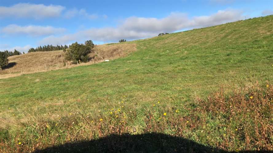 SITIO Camino a Colonia Tres Puentes km 2,5