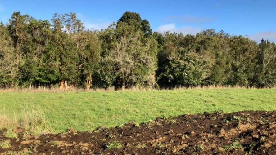 SITIO Camino a Colonia Tres Puentes km 2,5