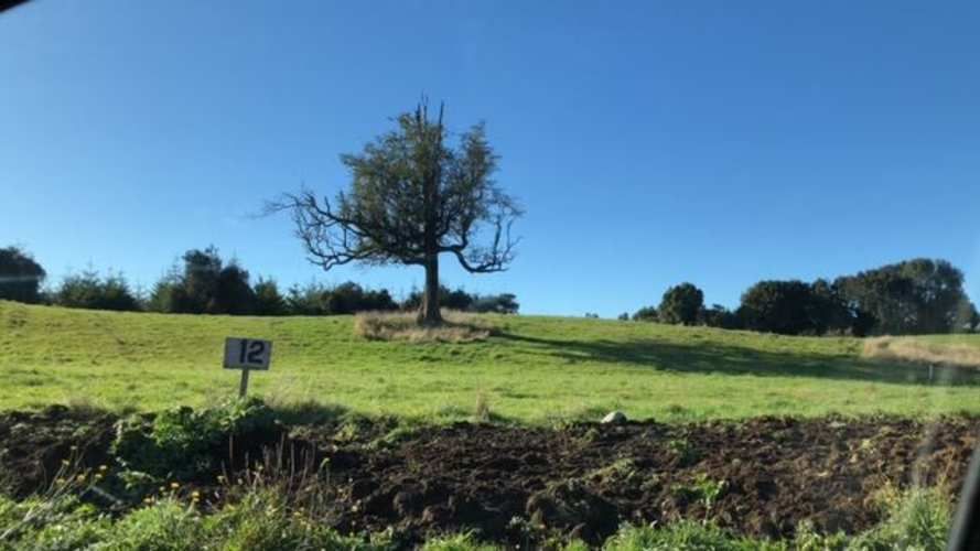 SITIO Camino a Colonia Tres Puentes km 2,5