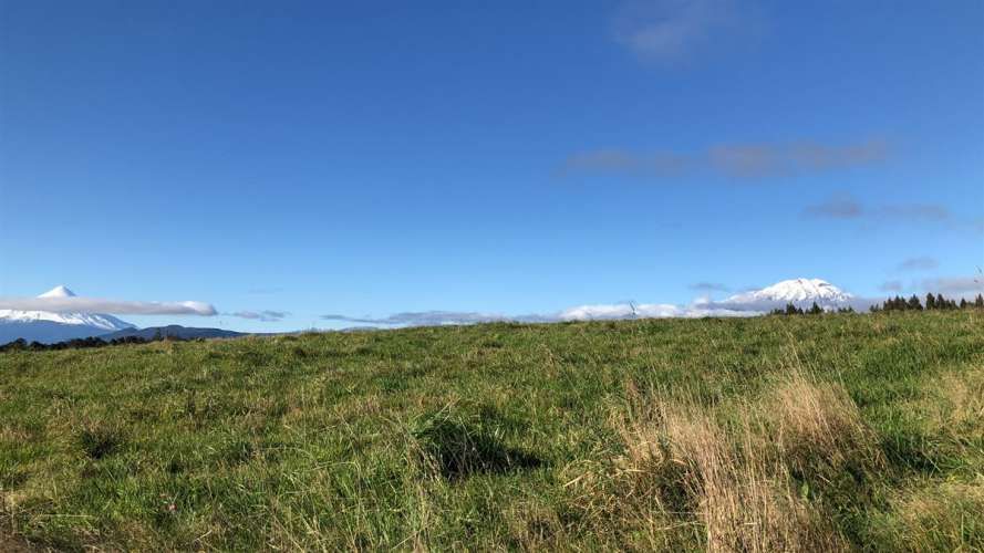 SITIO Camino a Colonia Tres Puentes km 2,5