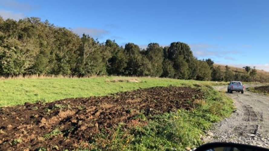 SITIO Camino a Colonia Tres Puentes km 2,5