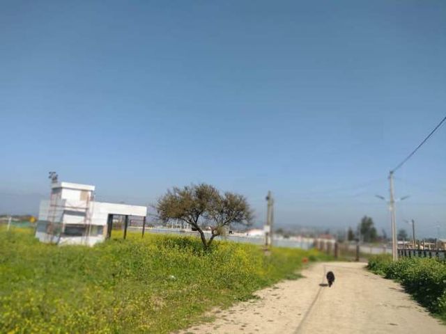 PARCELA avenida los laureles 147