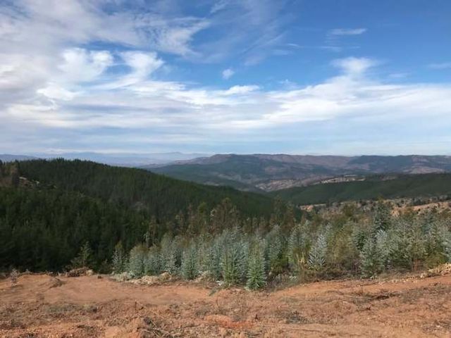 SITIO Sector Alto Ramirez