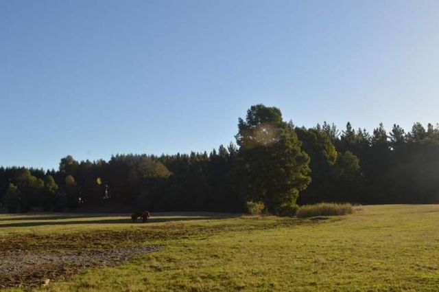 SITIO Camino segunda faja km 3.4