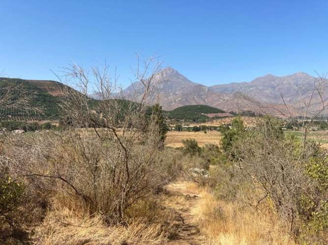 SITIO hualcapo , ocoa