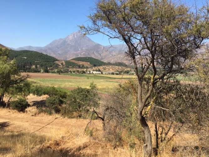 SITIO hualcapo , ocoa