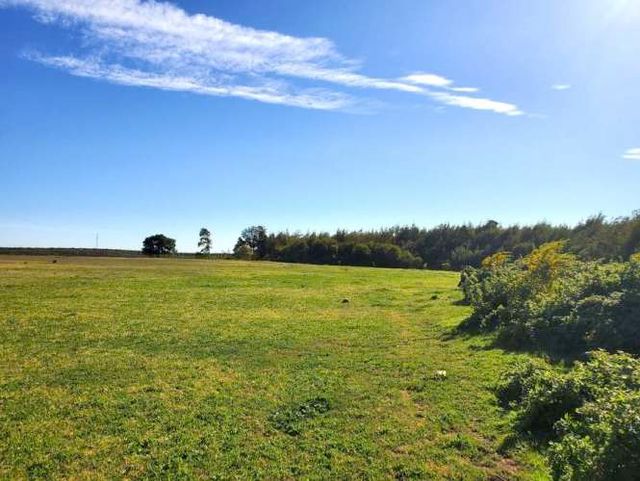 SITIO Av. Las Trancas