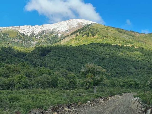 SITIO Dos pinos, lonquimay