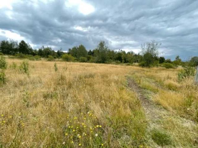 SITIO condominio campos de neo Alerce