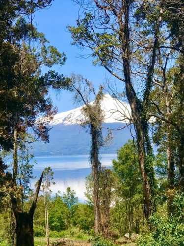 PARCELA FUNDO LOS ROBLES