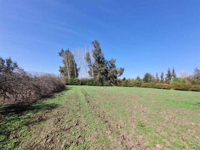 SITIO SANTA LUISA DE LOS INGLESES