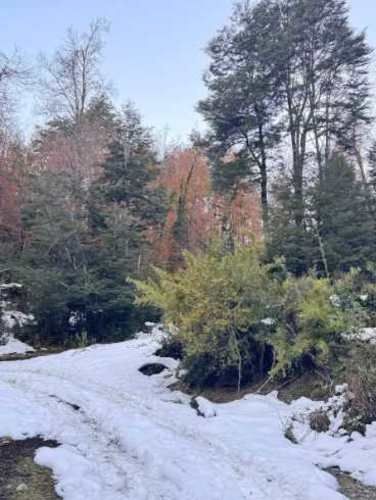 SITIO camino a rinconada currarehue