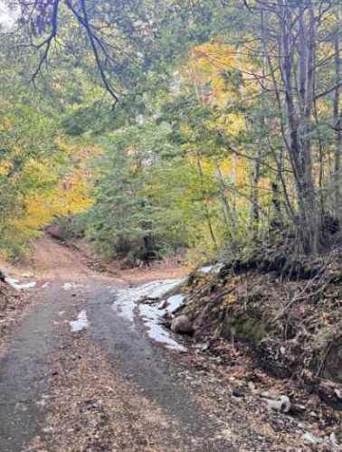 SITIO camino a rinconada currarehue