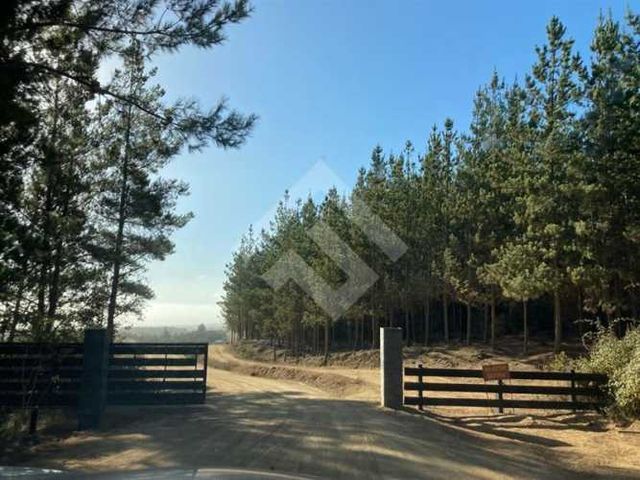 PARCELA HIJUELA , ALTO COLORADO