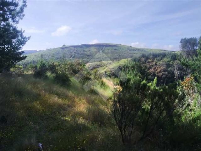 PARCELA HIJUELA , ALTO COLORADO