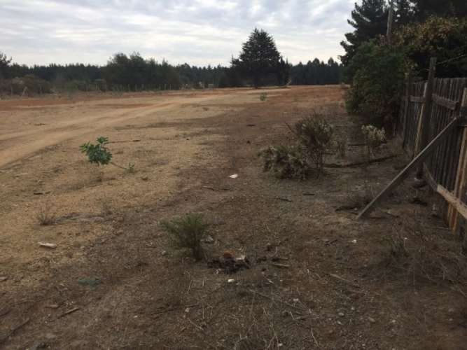 INDUSTRIAL Camino Internacional