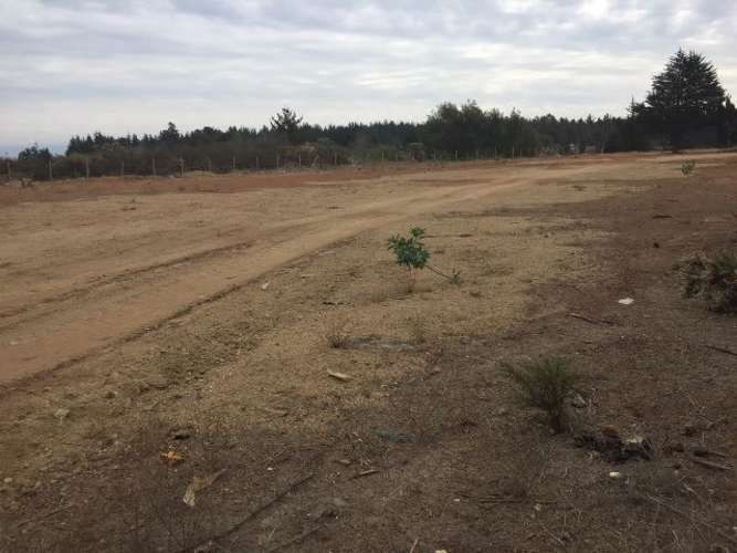 INDUSTRIAL Camino Internacional