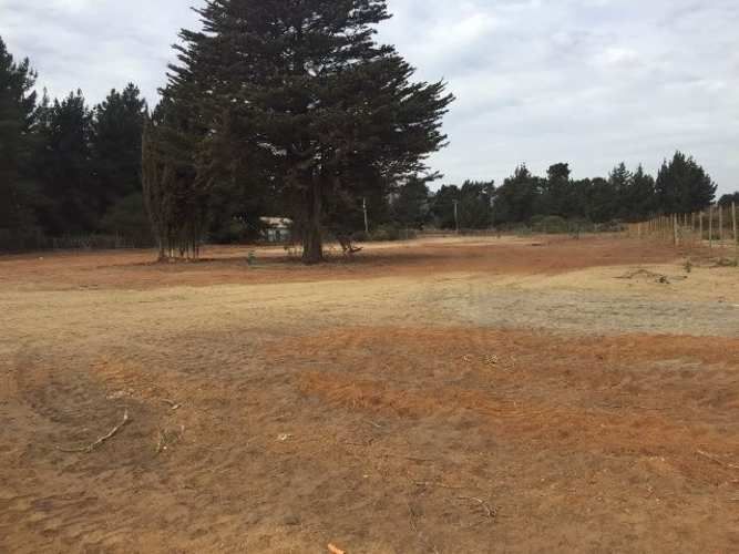 INDUSTRIAL Camino Internacional