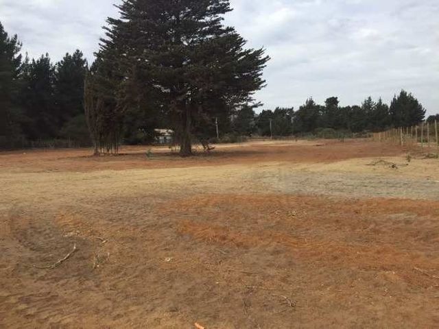 INDUSTRIAL Camino Internacional