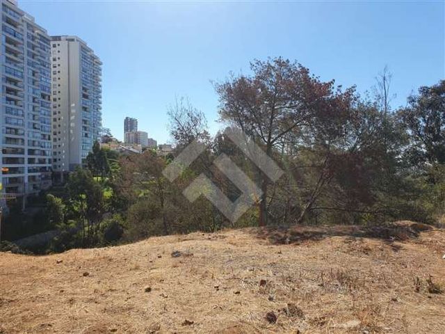 SITIO Jardín del Mar