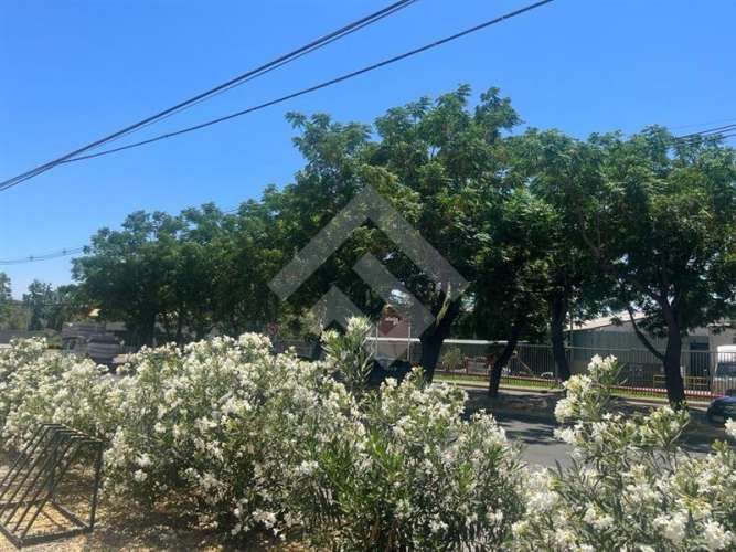 LOCAL COMERCIAL Carrascal/Villasana