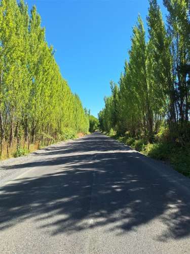 PARCELA Ruta Q-30, Camino La mona,Los Angeles VIII Region