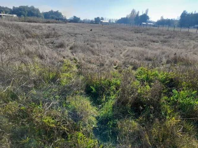 PARCELA Huapi Alto Linares