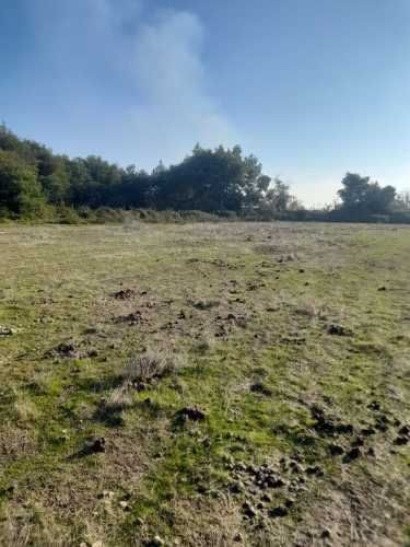 PARCELA HUAPI ALTO LINARES