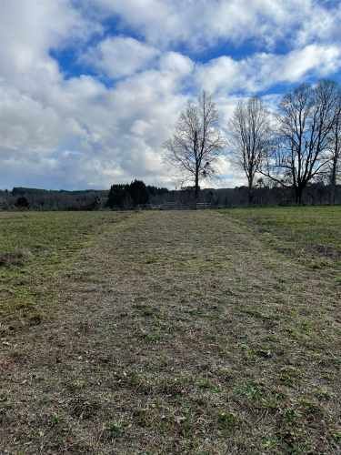 PARCELA 20 minutos de Osorno por Camino Real